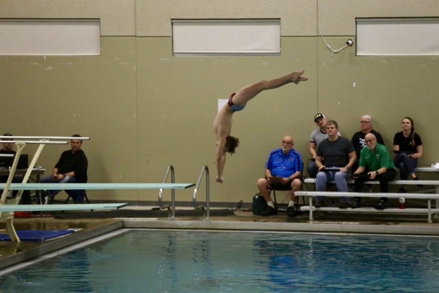 Tanner Zeise in a graceful dive: he moves on to the state meet in only his second year on the team.