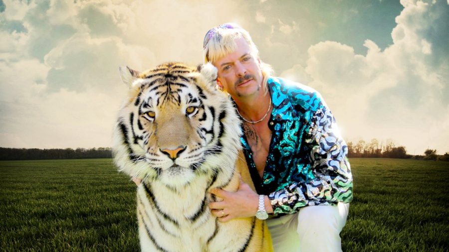 Joe Exotic is the owner of the GW Zoo, home to many big cats, in Oklahoma. The documentary follows his never-ending quarrel with Carole Baskins and the law
