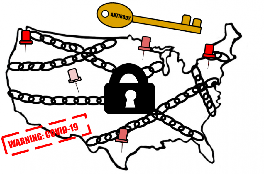 Antibody+testing+is+the+key+to+opening+the+United+States+in+a+way+that+ensures+safety+to+the+population.