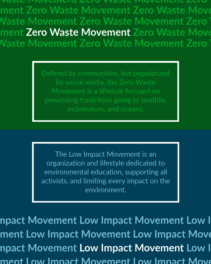 What is the Zero Waste Movement? What is the Low Impact Movement?