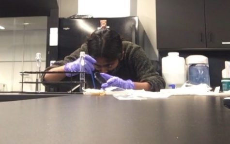 Senior Rashmi Raveendran completes a crucial part of her experiment.