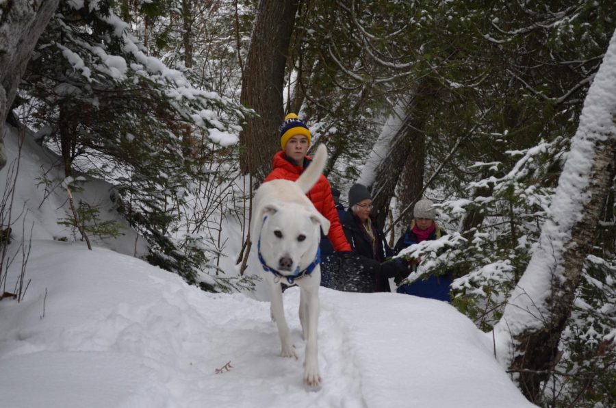 My dog loves snow almost as much as he loves barking at [Bde Maka Ska].