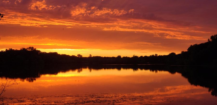 The sun turns the sky a fiery orange red just like a desert savannah.