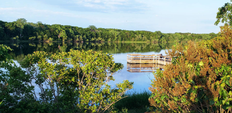 This picture is taken from the side view of the pier in the summer.
