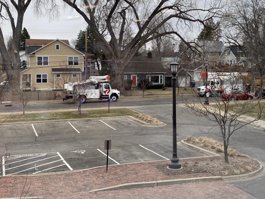 Two Excel trucks were called to the scene in front of the Davern entrance of the Randolph Campus to remove the tree and repair the line.