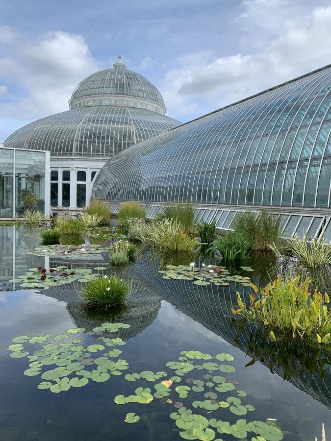 FLAWLESS REFLECTION. The Como property is very well taken care of even without an admission fee. A mix of state and private dollars fund the zoo, some of which come from the donation center inside of the building.