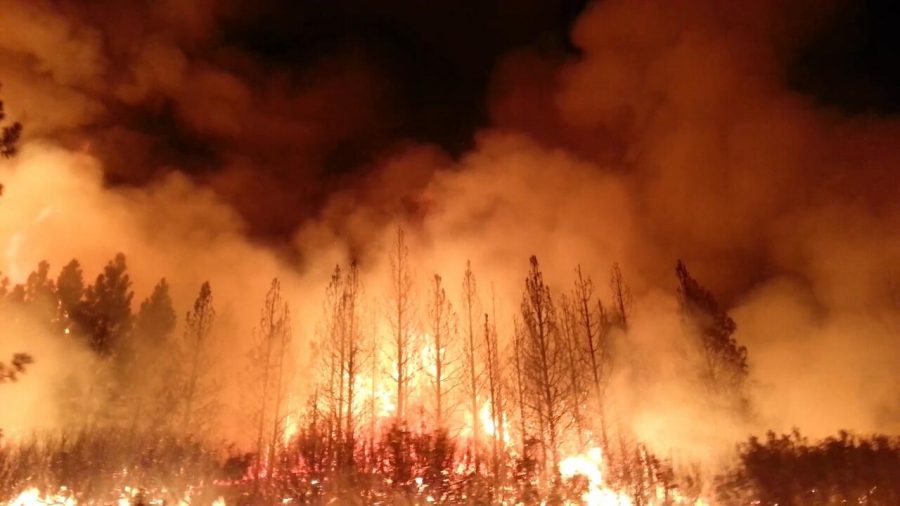 Locally in Minnesota, which had record-breaking droughts this summer, there have also been many large-scale wildfires around and in the Boundary Waters Canoe Area Wilderness (BWCA) that left the area closed for the first time in 45 years.