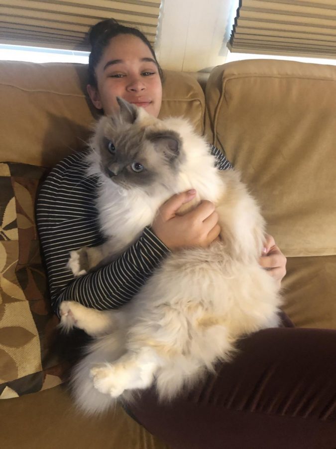 Sophomore Melina Kannankutty sits with her cat, Figaro.