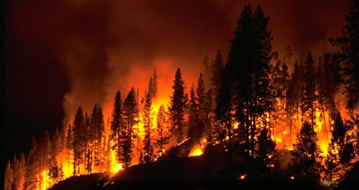 Locally in Minnesota, which had record-breaking droughts this summer, there have also been many large-scale wildfires around and in the Boundary Waters Canoe Area Wilderness (BWCA) that left the area closed for the first time in 45 years.