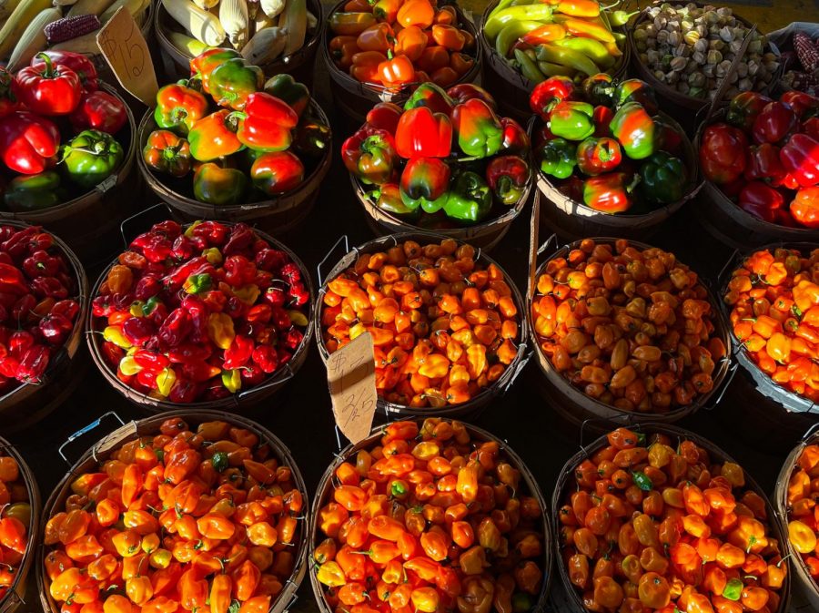 PICTURESQUE PRODUCE. A rainbow of vegetables lined the entrance to the market. I grow a lot more in the spring, nearly 22 different varieties of fruits and vegetables, said Phua Thao of Thao Gardens. Despite the winter cold approaching fast, Thaos stand sports a wide variety of bright and colorful produce.