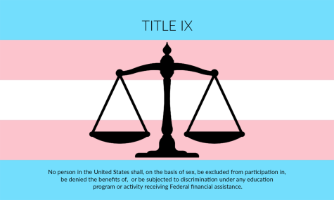 How transgender student participation in sports is (not) impacted by Title IX