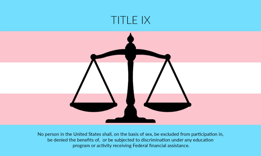 10+out+of+50+states+in+the+US+have+passed+laws+that+restrict+transgender+students+to+the+sport+that+corresponds+with+the+sex+listed+on+their+birth+certificate.