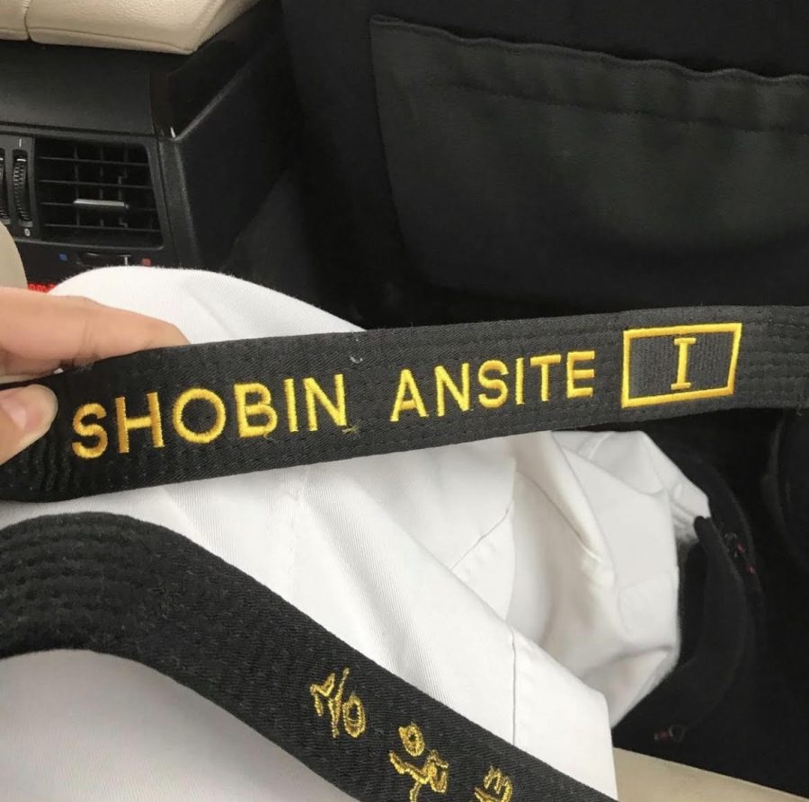 Shobin Ansite is working towards his ninth-degree black belt in taekwondo. His favorite part? “I like to hit things a lot, so that aspect is really fun. I also really enjoy sparring, which is where two people fight each other,” he said. 