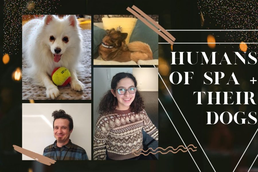 Humans of SPA...plus their dogs