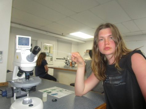 WOMEN IN STEM Brokken analyzes water organisms under a microscope. We did different labs about microplastics, Brokken said. 