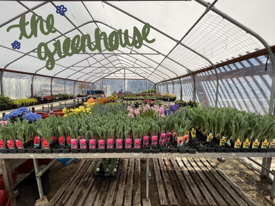 greenhouse