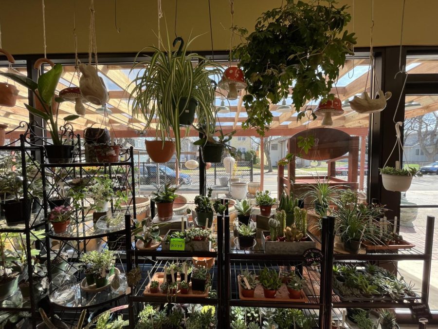 [AROUND TOWN] Sprout your green thumb at Leitner’s