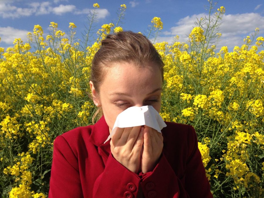 Allergies have a wide range of effects on people. Credit: Tulsi