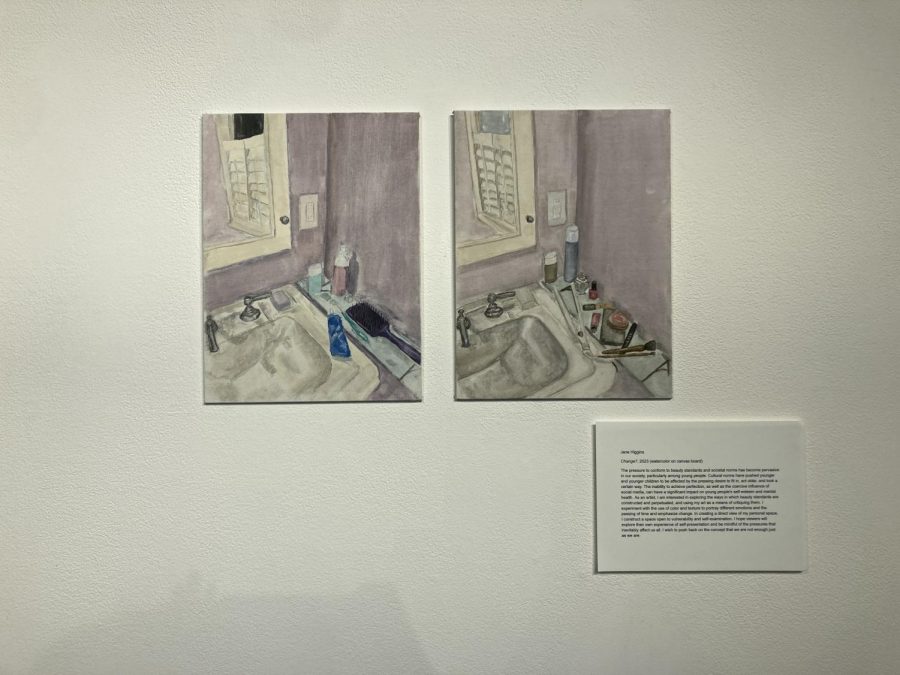 SET OF TWO. Jane Higgins paints her bathroom over the years and depicting growing older. 