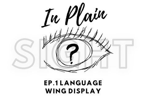 [IN PLAIN SIGHT] Ep.1 Language Wing Display
