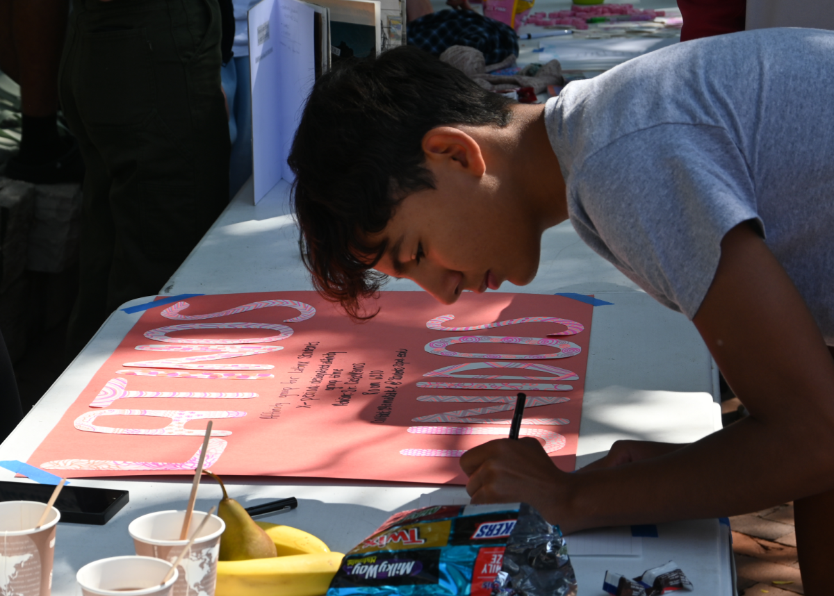 Students packed into Lilly Courtyard last Friday for the annual Club Fair. Check out what the new and returning groups had in store for students.