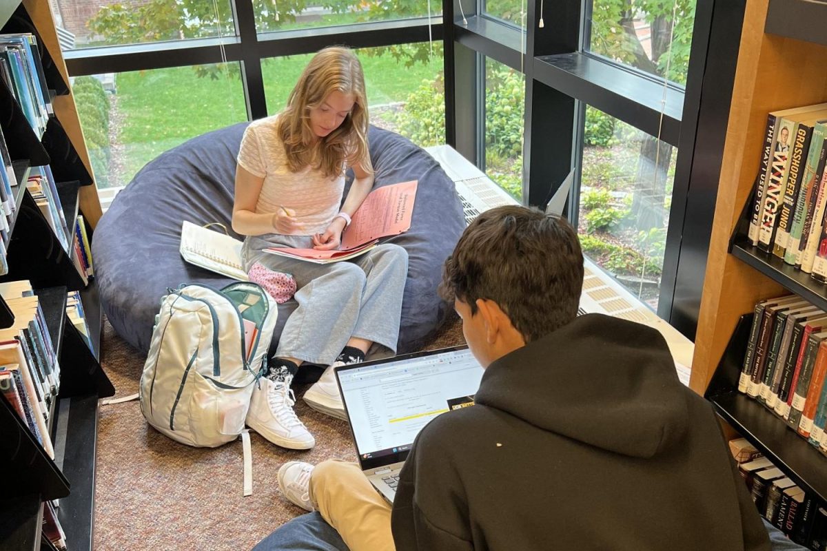 LIBRARY LEARNING. Two ninth graders find a patch of sun on a Monday morning to review for a Physics assessment.