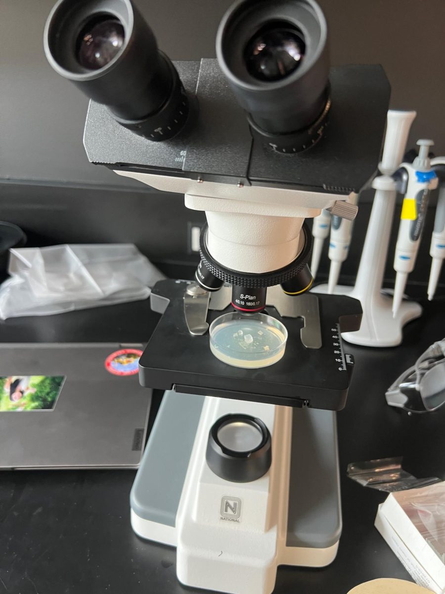 IN THE LAB. In her ASR class, Lillegard likes working in a lab environment and designing her own experiments. “Having my own project and getting to decide what I'm going to do with it is just super cool,” she said. 