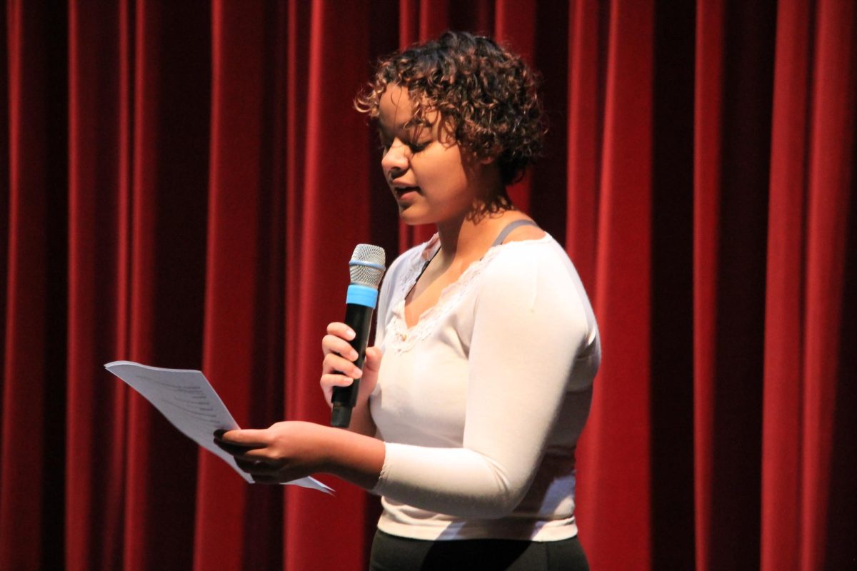 Everything from stunning vocals to chicken costumes was on display during the annual talent show.