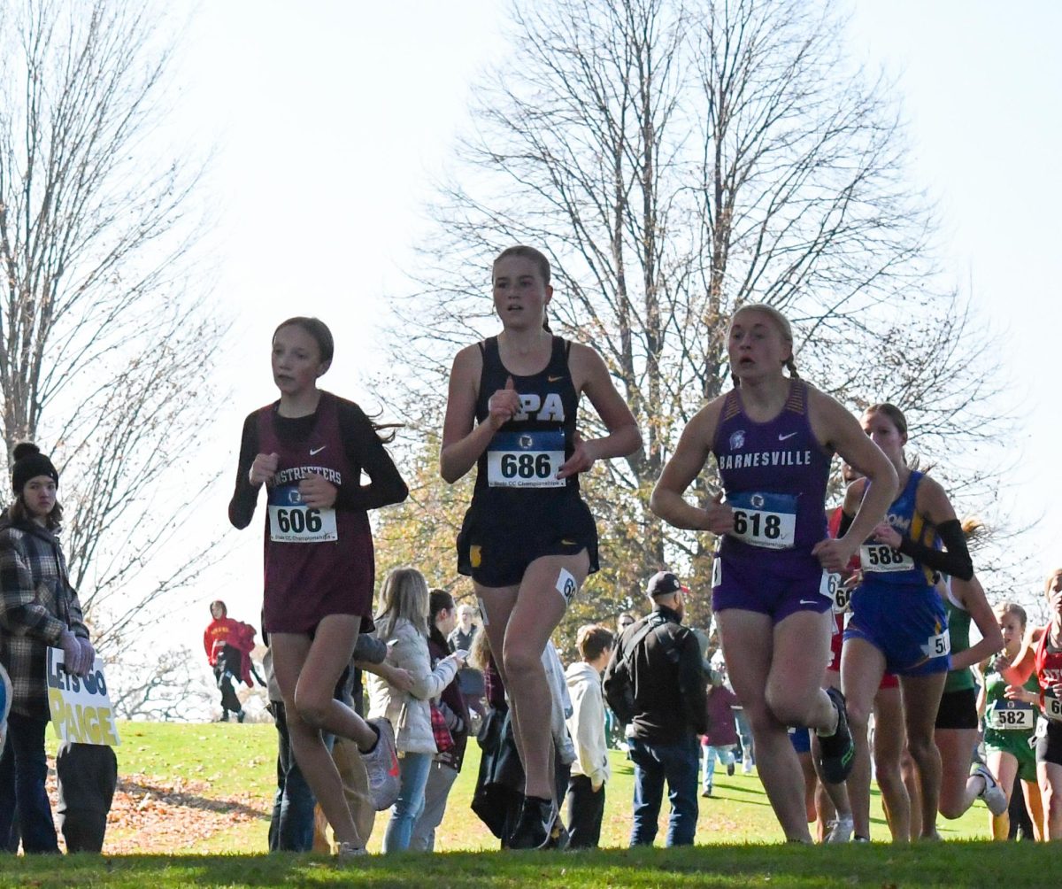 WORKING HARD. Junior Taylor Barkwell runs at the girls XC state meet.