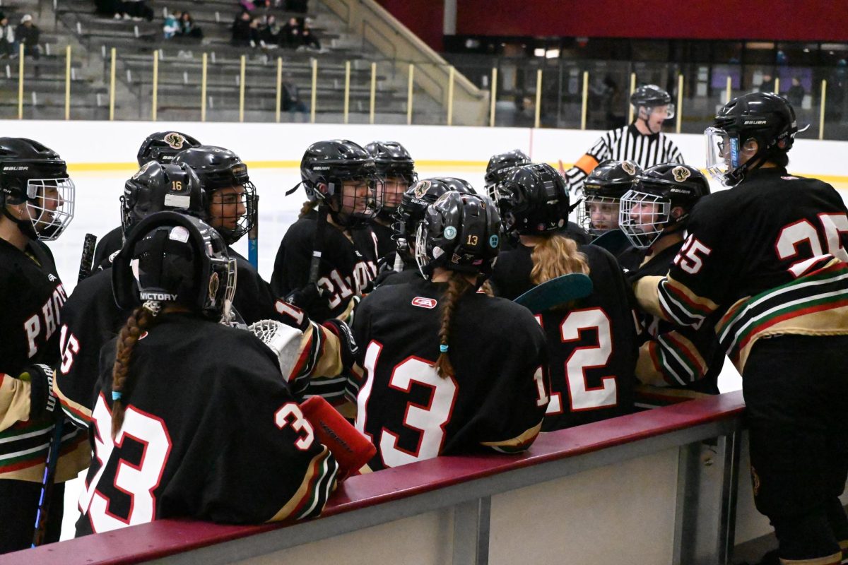 UNITED. The Metro-South Phoenix girls hockey co-op huddles together at a recent match on Dec. 7. They lost 0-2 against the Lakeville South Cougars.