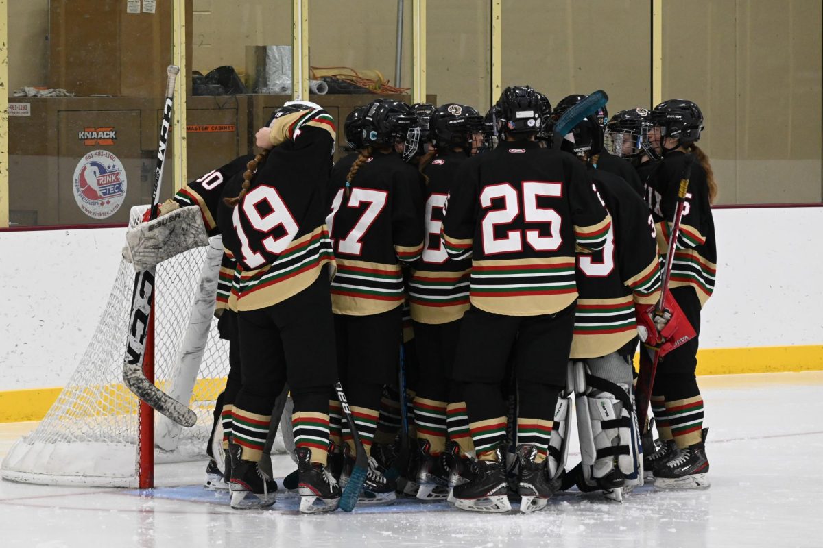 TEAM HUDDLE. The Metro-South Phoenixes get together and gather on the ice by the goalpost before the game commences.  Together, the team talk strategy and lift the energy levels up.