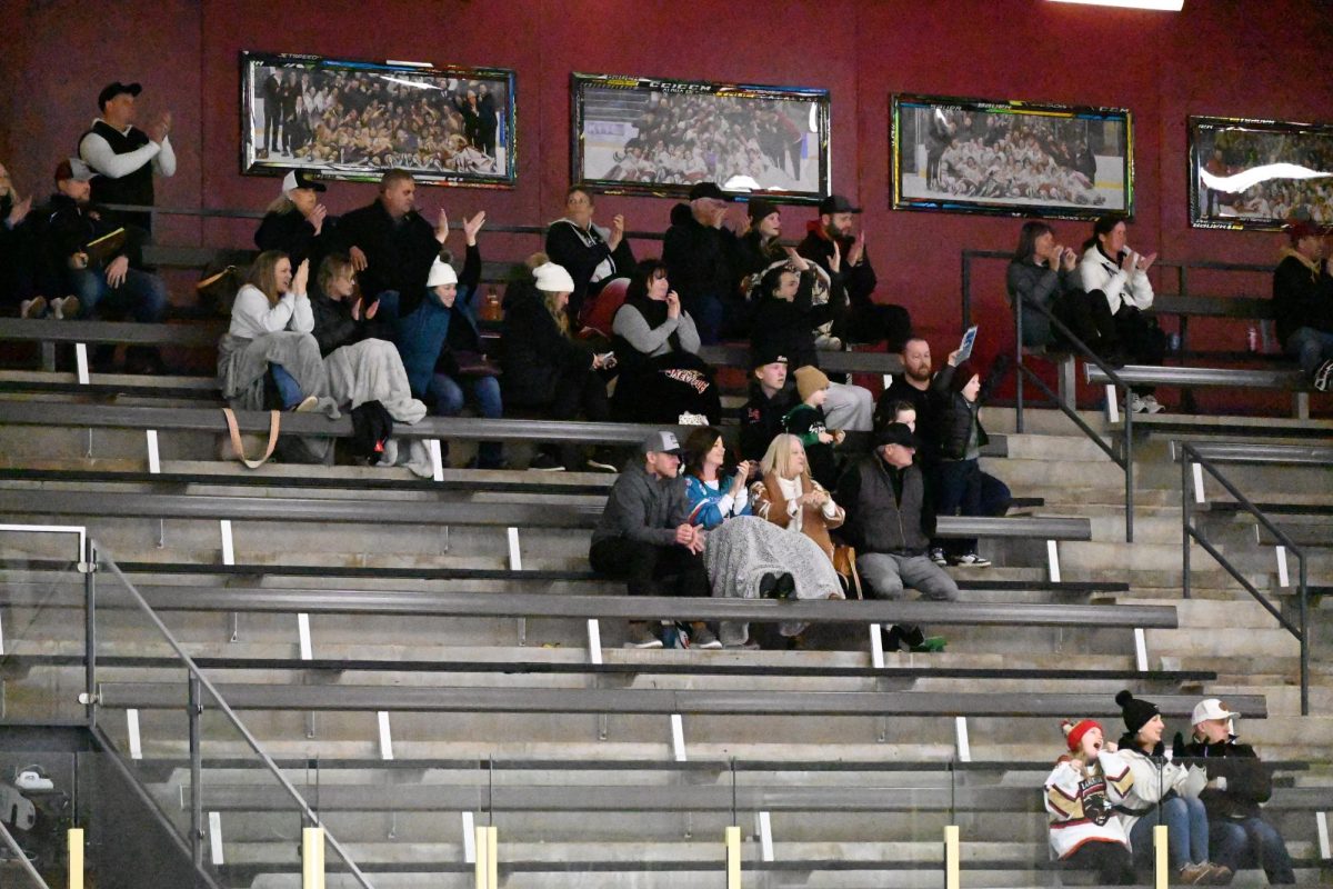 APPLAUSE FOR THE GOAL. Lakeville South supporters cheer out boisterously in the stands as the Cougars score the first goal of the game in the second period.