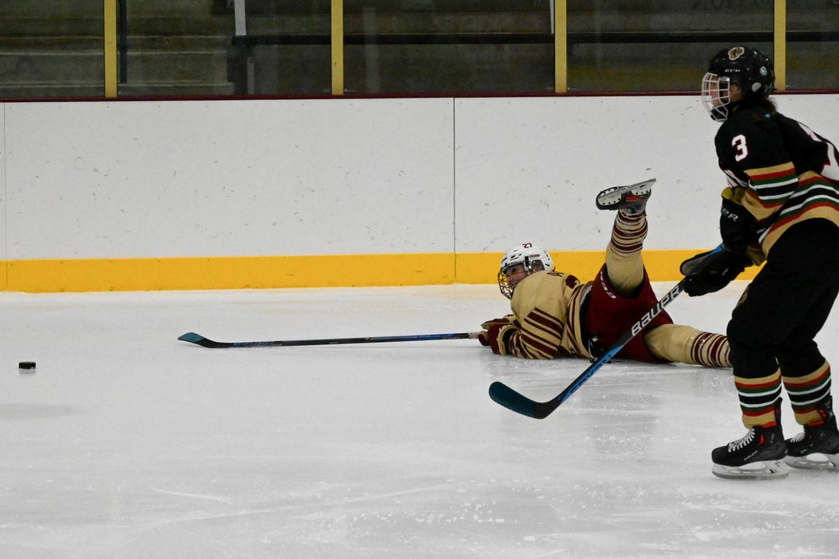 A SUDDEN TUMBLE. The Cougars No. 27 trips and falls on the ice as she chased after the puck. As the puck was getting away from her, it was a race between the Cougars and the Phoenixes to see who would get to the puck first, resulting in a fall.