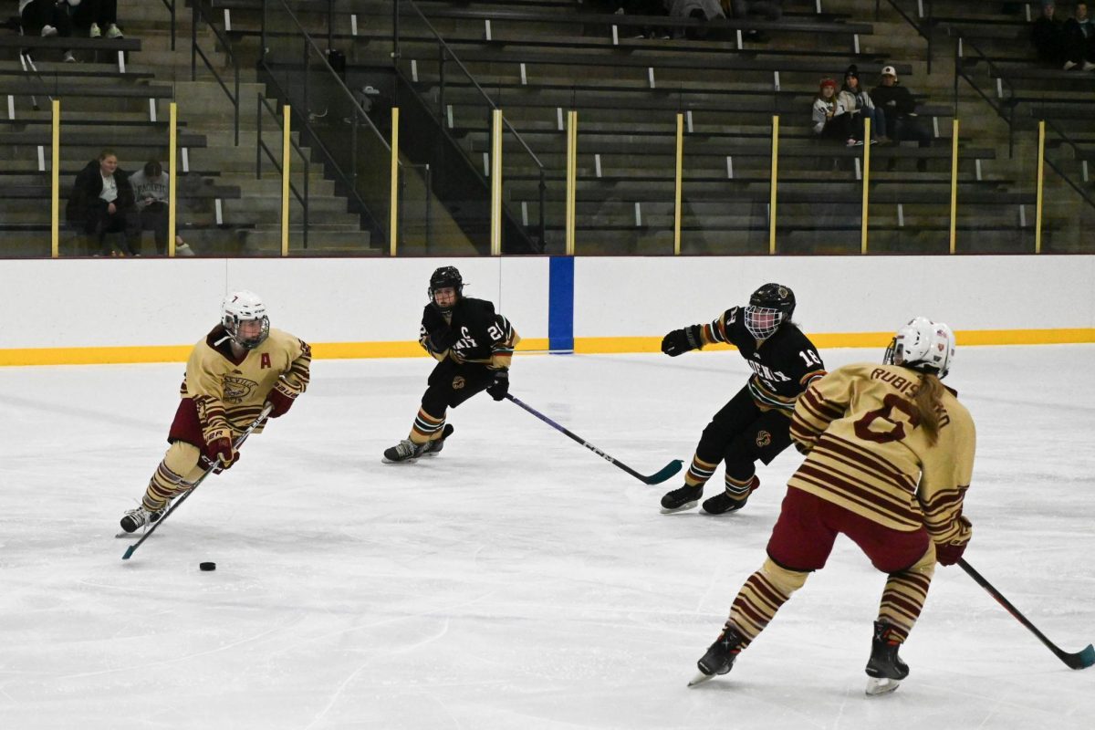 ROUND IN A CIRCLE. Two players from each team were speedily in pursuit of the puck. The Lakeville South Cougar player No. 7 had gotten possession of the puck for a split second before the Phoenixes took the puck from them.