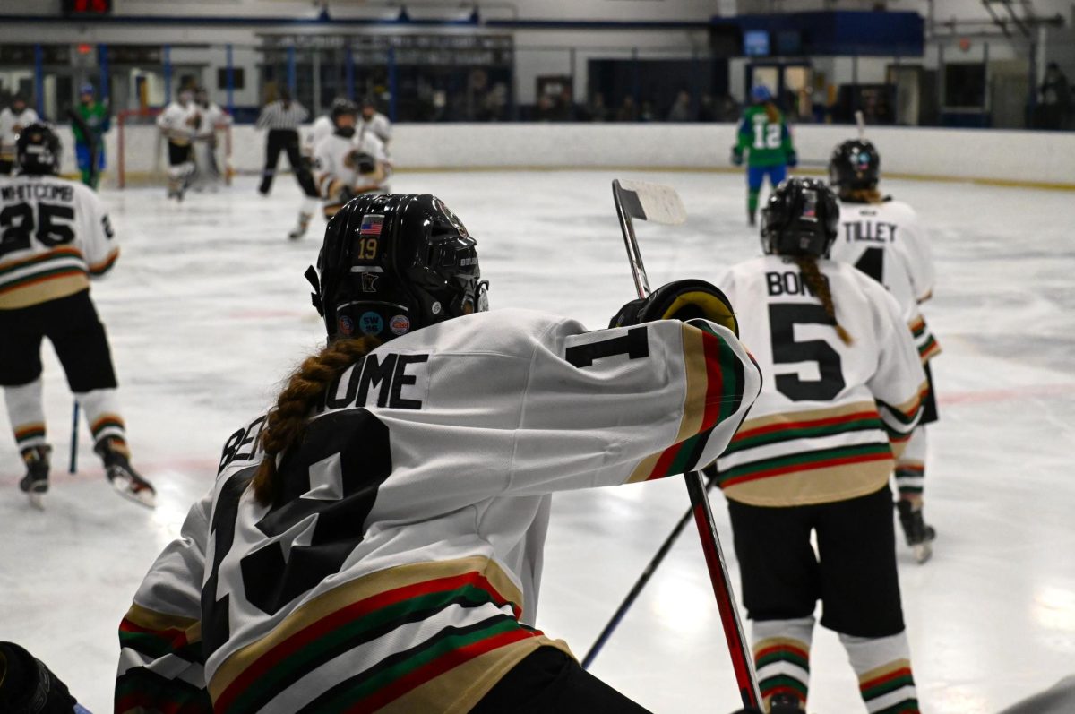 On Tuesday, the Metro-South Phoenix battled against the Eagan Wildcats at home and took a 3-2 win home.