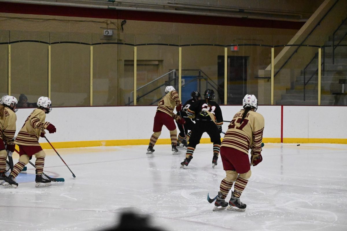 PASS THE PUCK. Charlotte Goings hads 20 points this season. Goings was the only player on the Metro-South Pheonix this year  to complete this achievment . Goings said, “It’s really crazy because I was so little when I started .” 