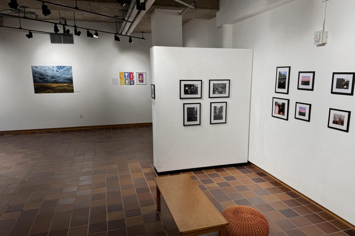 IT'S A PROCESS. Liza Thomas said, "My work is called 'Night in the Wildwood.' It's eight photos that I took on a film camera and then got developed outside of school because we don't have the chemistry in our photo lab to develop color film."