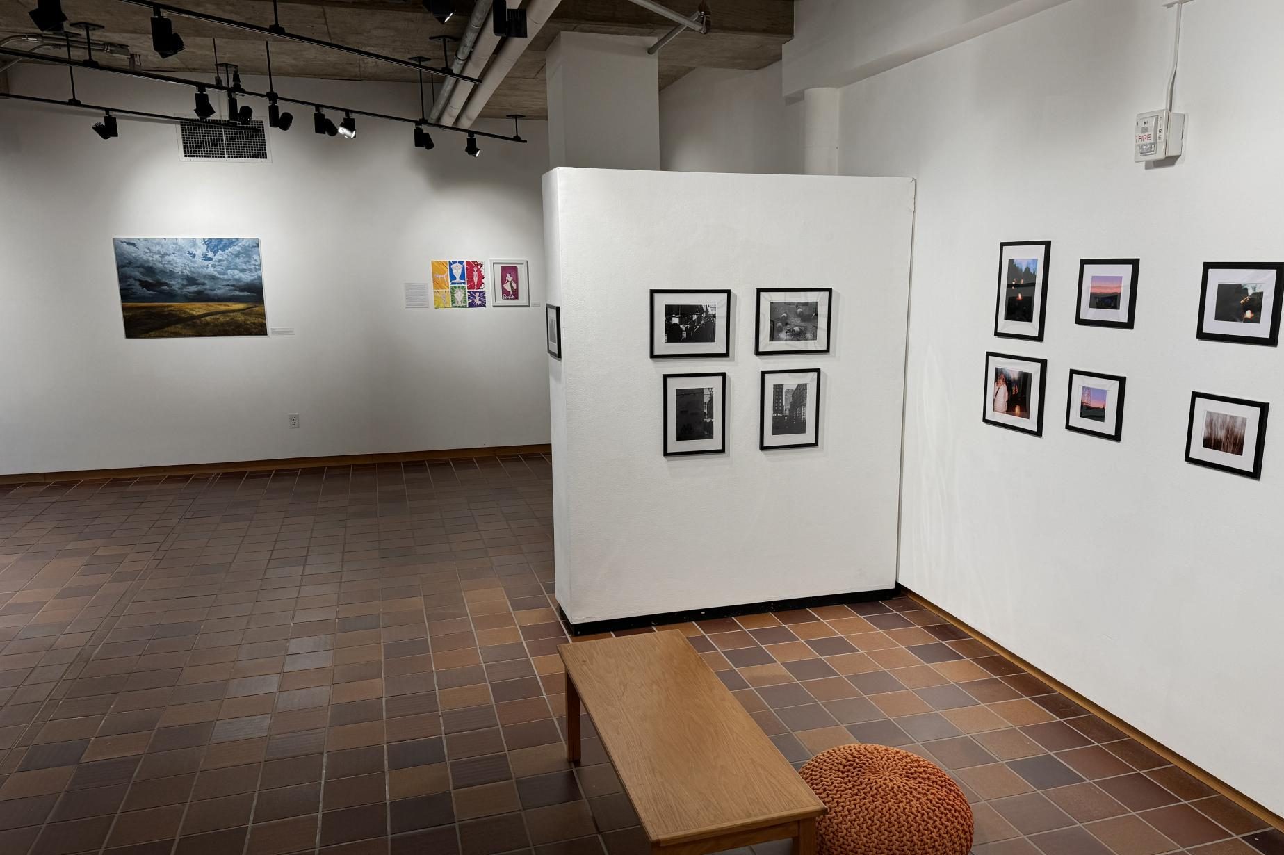 IT'S A PROCESS. Liza Thomas said, "My work is called 'Night in the Wildwood.' It's eight photos that I took on a film camera and then got developed outside of school because we don't have the chemistry in our photo lab to develop color film."