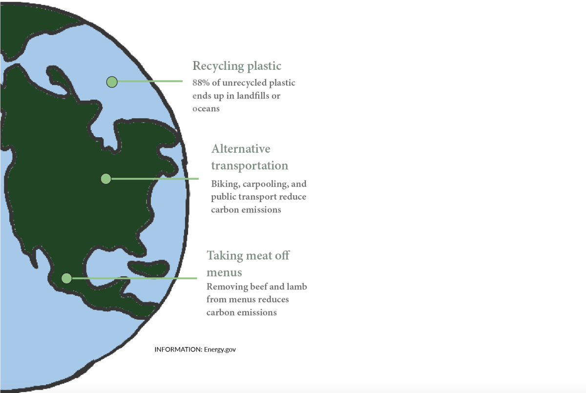 ACCESSIBLE SUSTAINABILITY. Even the small, daily habits can help an individual live more sustainably. For example, reducing the amount of beef eaten or picking up a friend on the way to school can reduce carbon emissions.