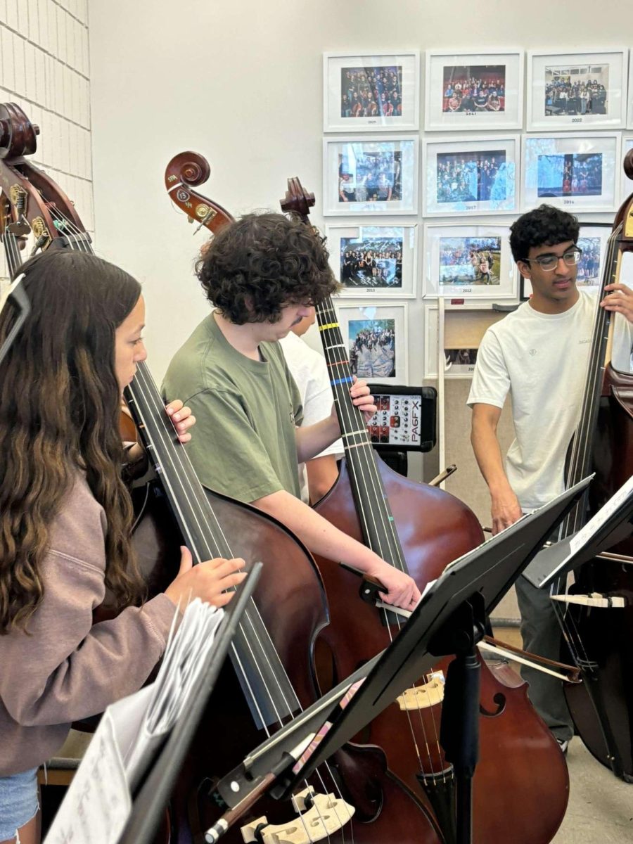 ORCHESTRA OASIS. Sophomore Johann DeVriese rehearses the string bass part of a song to prepare for the concert. While bass players are familiar with both string and electric bass, the classical repertoire of the spring concert typically requires more string bass.