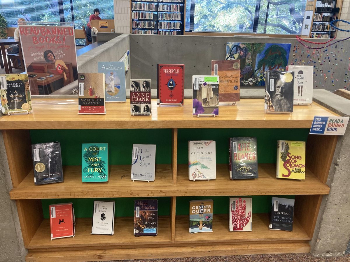 HERE THERE ARE MANY. One of two shelves in the high school-aimed section of the library teems with expected and unexpected titles alike.