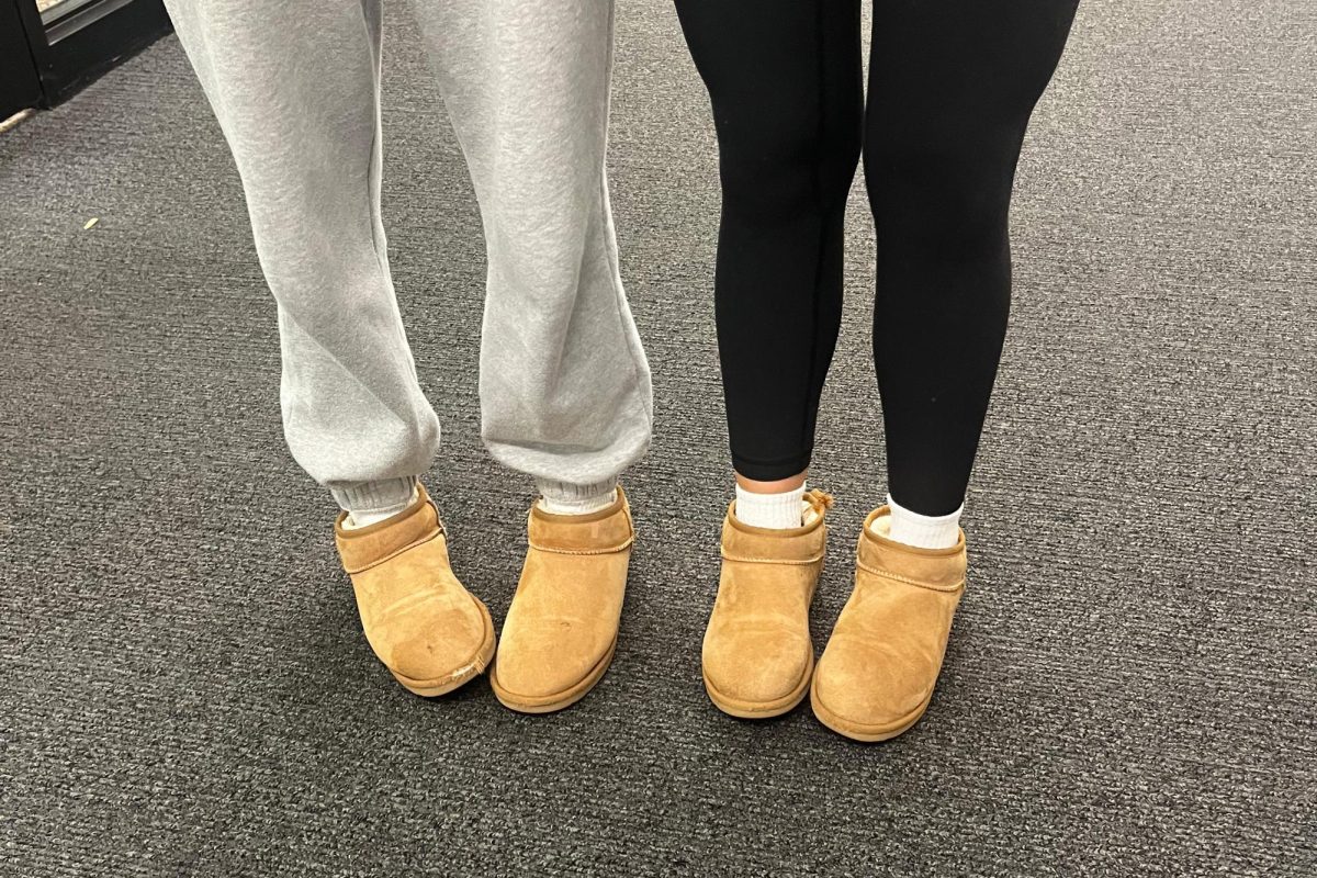 Addy Sophie shoes