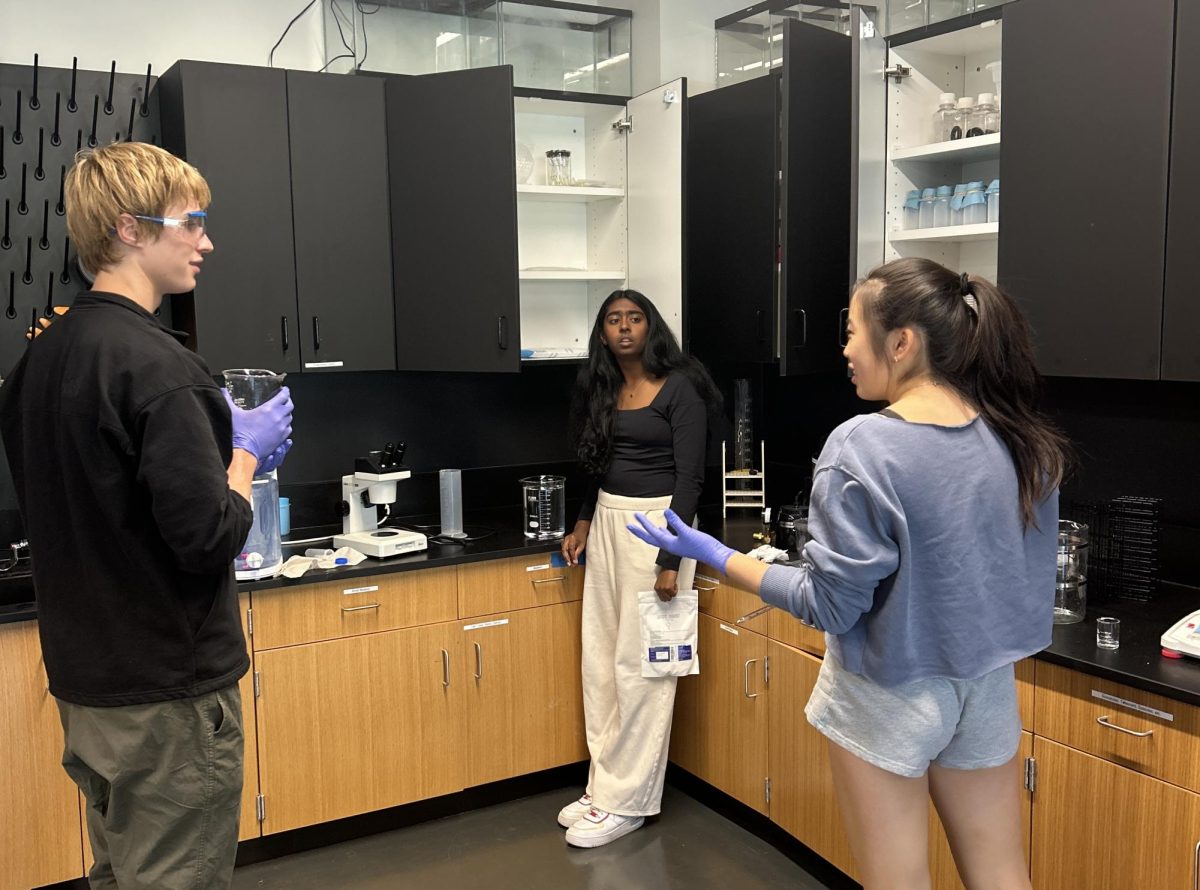 From chemistry to neuroscience, students take to the lab to turn theory into findings.