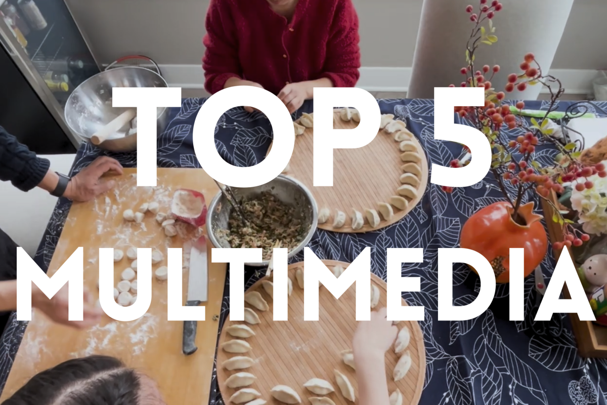 Top five multimedia stories of 2024