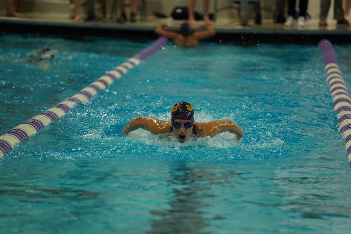 top 5 - swim