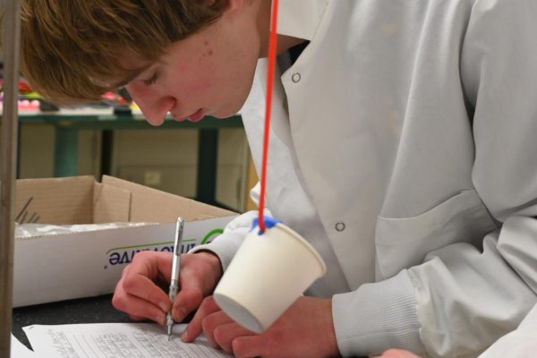 Scenes from the regional Science Olympiad competiton can be viewed in the timeline.