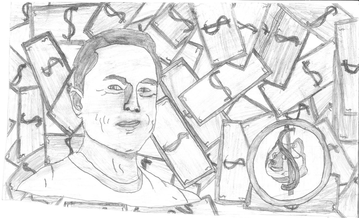 Cammack_Henry_Musk Opinion