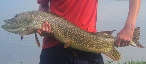 Get hooked on this pocket guide to seasonal fishing. 