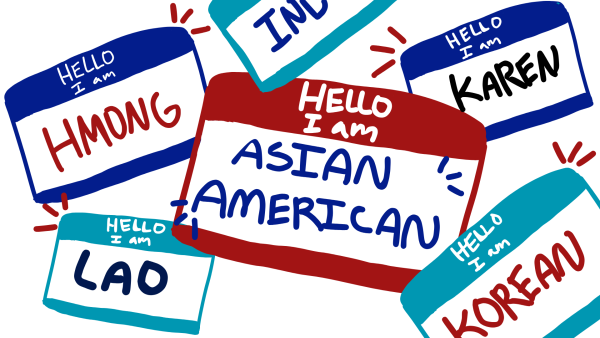 DIVERSITY WITHIN THE NAME. "Asian American" encompasses 19.4 million people and hundreds of ethnicities. Data disaggregation shines a spotlight in these ethnicities, ensuring that Asian American is not a monolith.