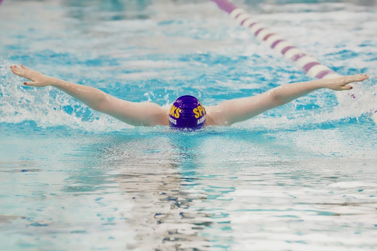 After three years and an exciting win, sections for the Sparks will take place Nov. 6 at Richfield Middle School.